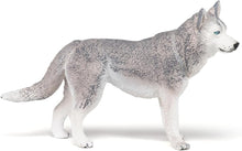 画像をギャラリービューアに読み込む, SIBERIAN HUSKY/PCE 905054035