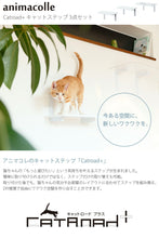 画像をギャラリービューアに読み込む, キャットステップ白キャットロードプラス ~美しく機能的なデザインと厳しい品質基準をクリアした安心設計~
