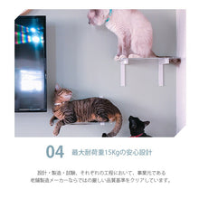 画像をギャラリービューアに読み込む, キャットステップ白キャットロードプラス ~美しく機能的なデザインと厳しい品質基準をクリアした安心設計~