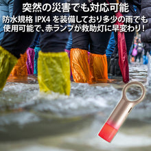 画像をギャラリービューアに読み込む, カラビナ付きマルチLEDライト FNOMADAY FLASH LL137