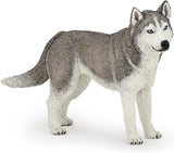 SIBERIAN HUSKY/PCE 905054035