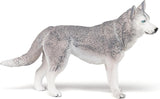 SIBERIAN HUSKY/PCE 905054035