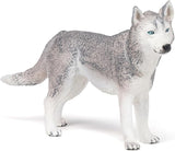 SIBERIAN HUSKY/PCE 905054035