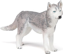 画像をギャラリービューアに読み込む, SIBERIAN HUSKY/PCE 905054035
