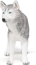 画像をギャラリービューアに読み込む, SIBERIAN HUSKY/PCE 905054035
