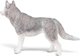 SIBERIAN HUSKY/PCE 905054035