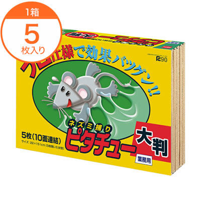 ピタチュー　大判 10セット