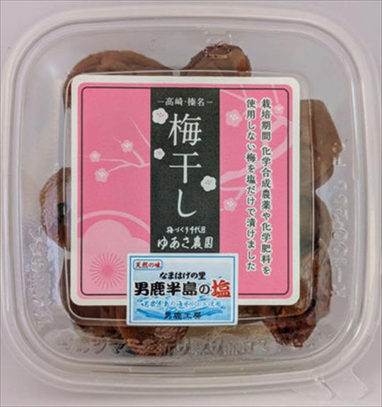 高崎・榛名 梅干し 男鹿の塩 120g