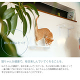 キャットステップ白キャットロードプラス ～美しく機能的なデザインと厳しい品質基準をクリアした安心設計～