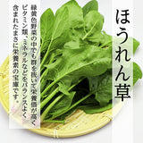 蓮根とほうれん草のグリーンポタージュ
