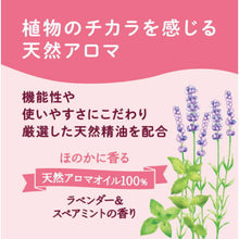 画像をギャラリービューアに読み込む, 東京サラヤ アラウ. 洗たく用せっけん 液体 詰替用 ラベンダー＆スペアミント 2L
