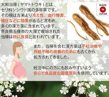 画像をギャラリービューアに読み込む, (医薬部外品)Anjelica 当帰ドリンク 冷え性改善 70ml ×10本入り
