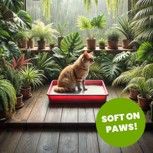 画像をギャラリービューアに読み込む, 76 キャットリター 100％植物素材の猫砂 2.27kg
