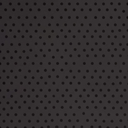 Bazzill (バジル)  Swiss Dot Texture Cardstock - BZ - Dotted Swiss - 12 x 12 - Pepper 303088